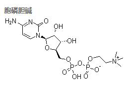 胞磷膽堿